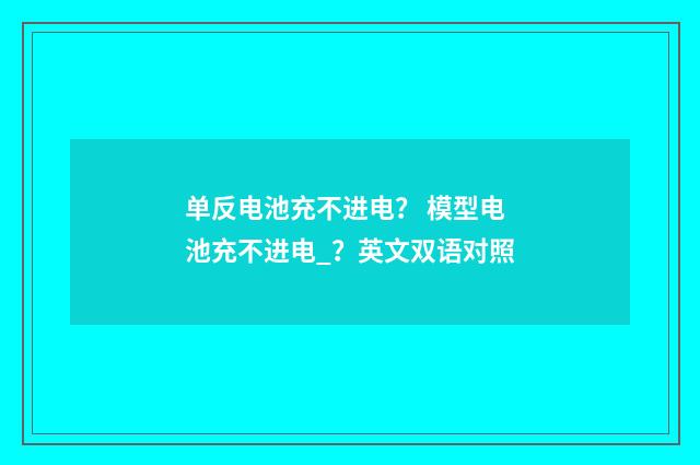 单反电池充不进电？ 模型电池充不进电_？英文双语对照