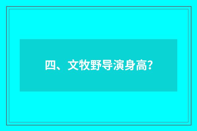四、文牧野导演身高？