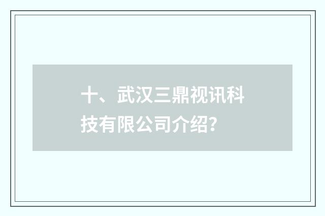 十、武汉三鼎视讯科技有限公司介绍？