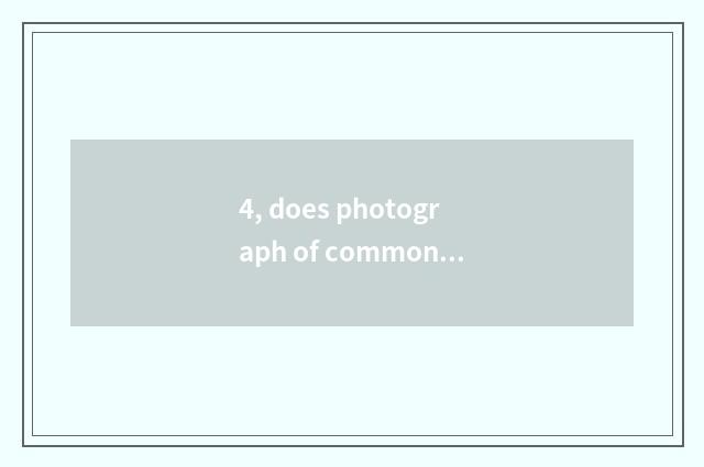 4, does photograph of common people cool detachment view article proposal?