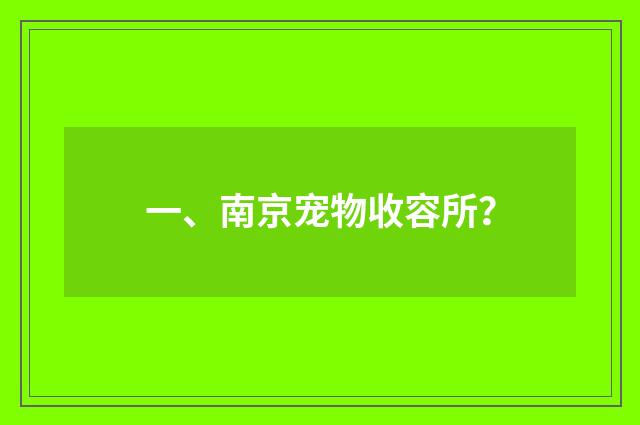 一、南京宠物收容所？