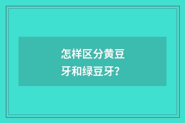 怎样区分黄豆牙和绿豆牙?