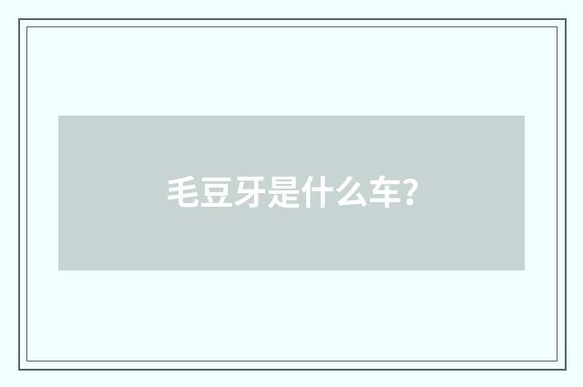 毛豆牙是什么车？