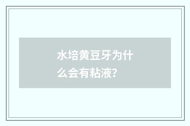 水培黄豆牙为什么会有粘液？