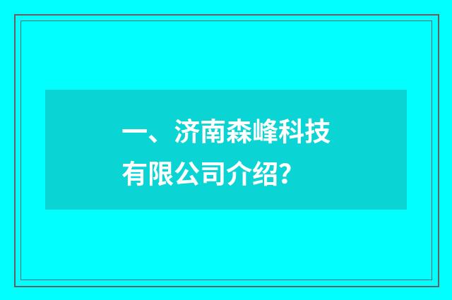 一、济南森峰科技有限公司介绍？