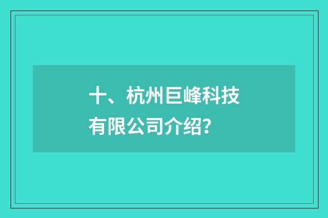 十、杭州巨峰科技有限公司介绍?