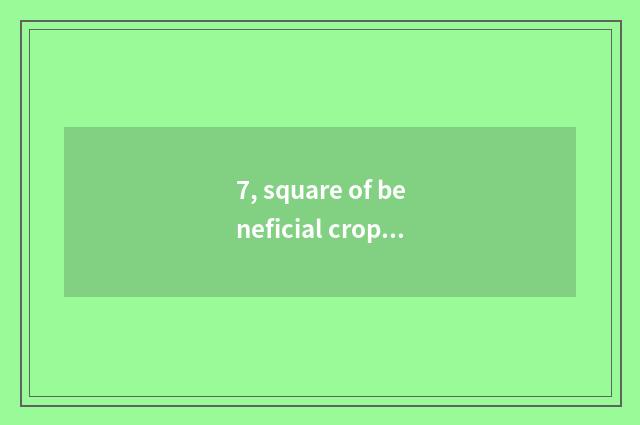 7, square of beneficial cropland holiday makes Shenzhen railway station how many