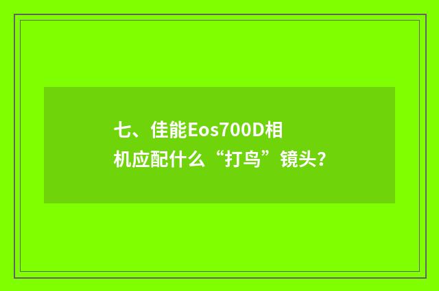 七、佳能Eos700D相机应配什么“打鸟”镜头？