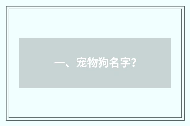 一、宠物狗名字?
