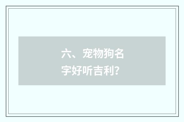 六、宠物狗名字好听吉利？