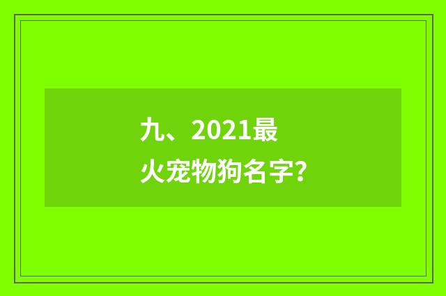 九、2021最火宠物狗名字?