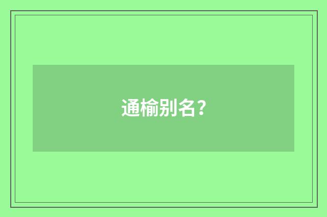 通榆别名?