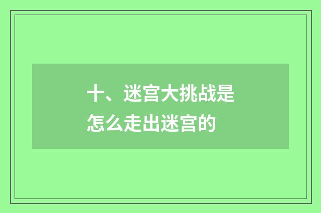 十、迷宫大挑战是怎么走出迷宫的