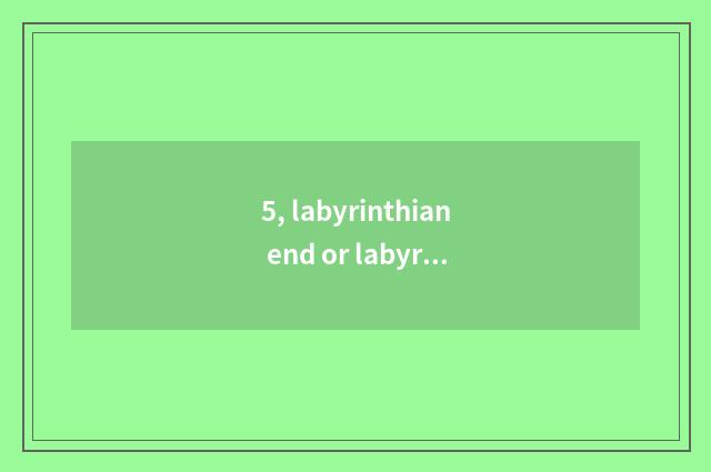 5, labyrinthian end or labyrinthian film?