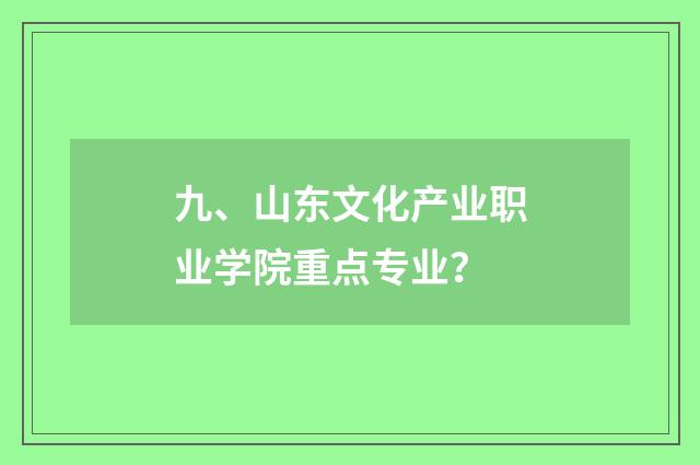 九、山东文化产业职业学院重点专业?