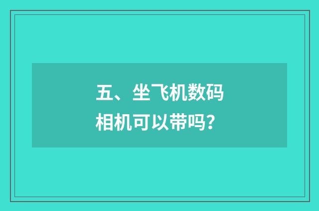五、坐飞机数码相机可以带吗?