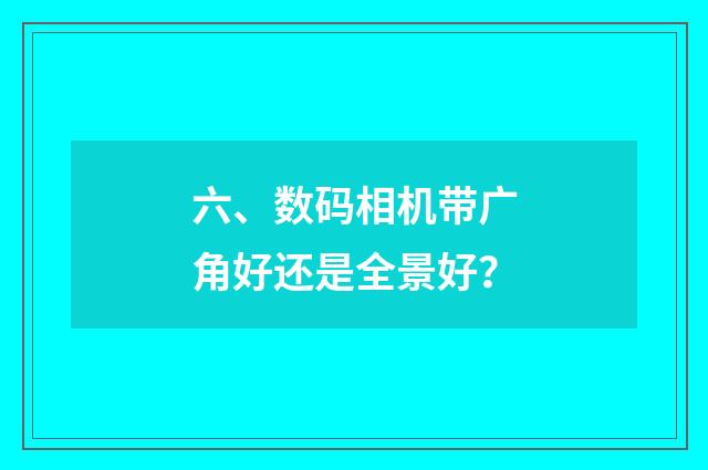 六、数码相机带广角好还是全景好?