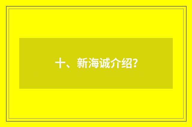 十、新海诚介绍?