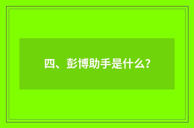 四、彭博助手是什么？