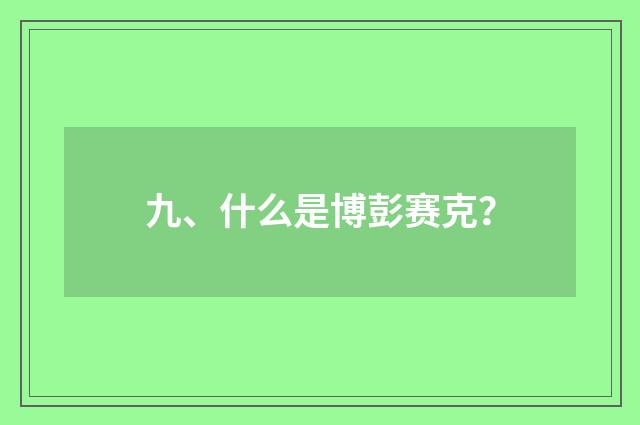 九、什么是博彭赛克?