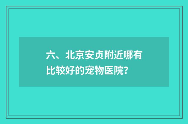 六、北京安贞附近哪有比较好的宠物医院?