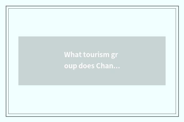 What tourism group does Changchun travel agent have now?