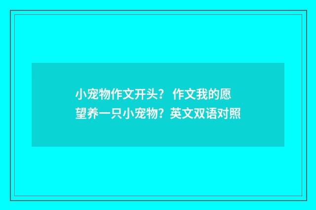 小宠物作文开头? 作文我的愿望养一只小宠物?英文双语对照