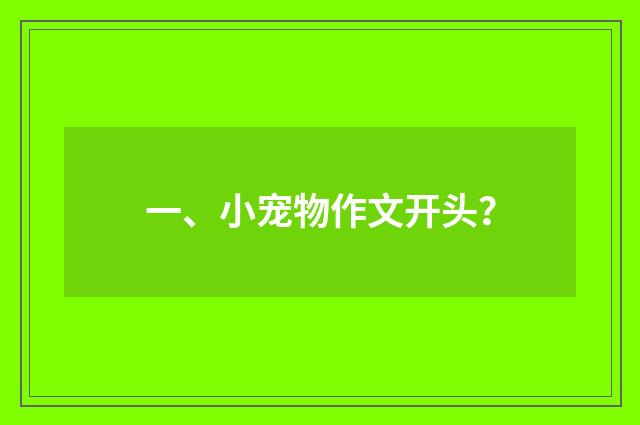 一、小宠物作文开头?