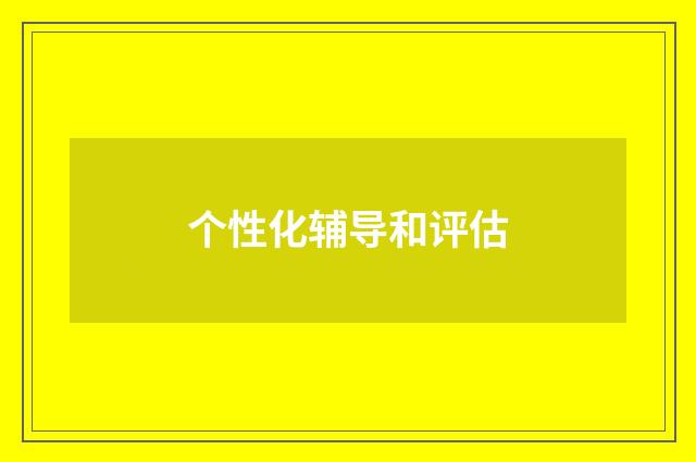 个性化辅导和评估
