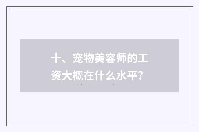十、宠物美容师的工资大概在什么水平?