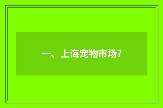 一、上海宠物市场？