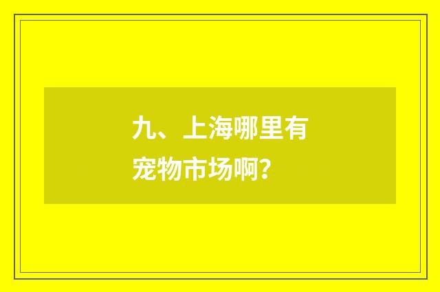 九、上海哪里有宠物市场啊?