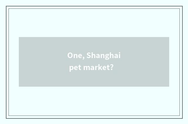 One, Shanghai pet market?