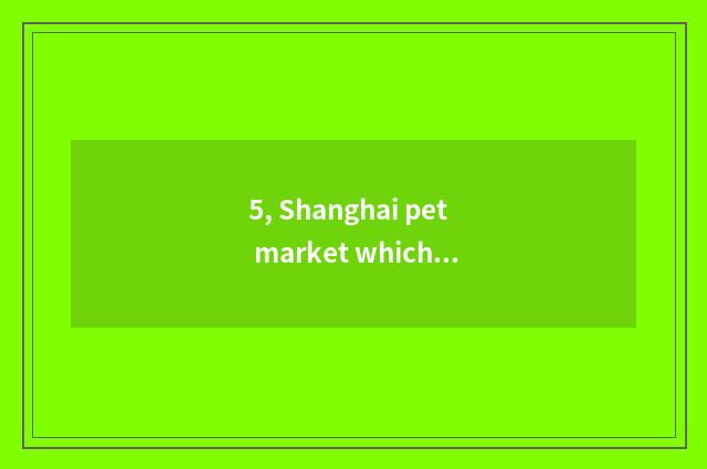 5, Shanghai pet market which are good? Shanghai compares big pet things market,