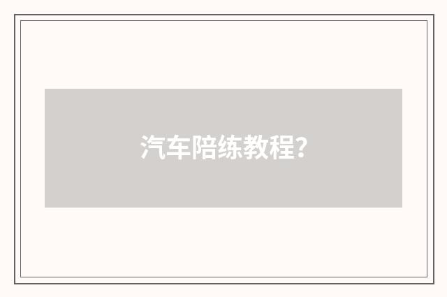 汽车陪练教程?