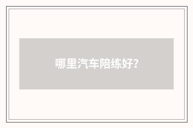 哪里汽车陪练好?