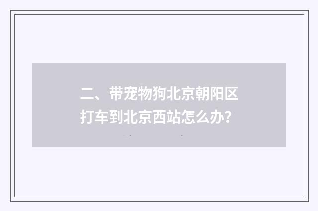 二、带宠物狗北京朝阳区打车到北京西站怎么办？