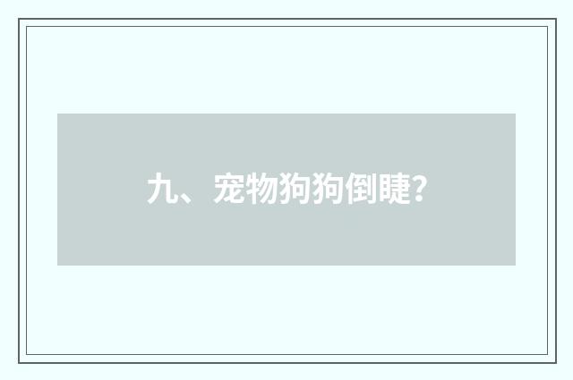 九、宠物狗狗倒睫？