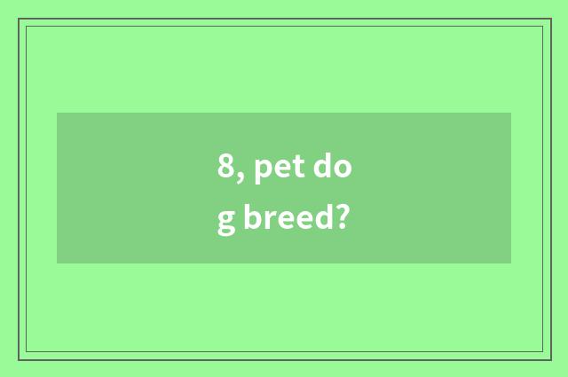 8, pet dog breed?