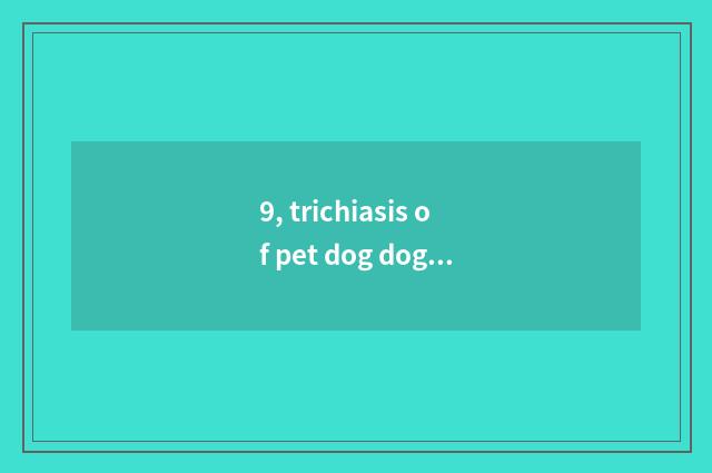 9, trichiasis of pet dog dog?
