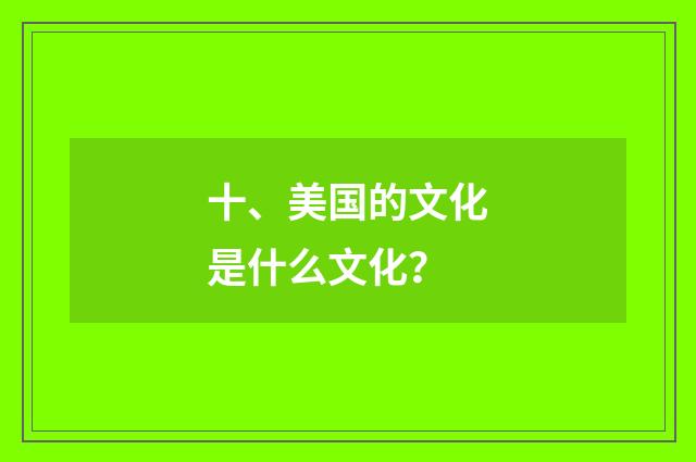 十、美国的文化是什么文化？