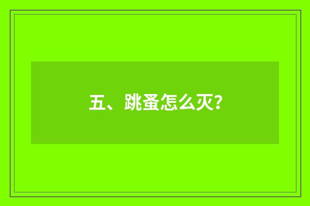 五、跳蚤怎么灭?