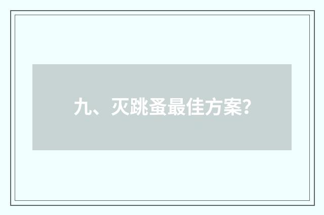 九、灭跳蚤最佳方案？