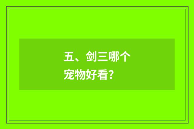五、剑三哪个宠物好看?