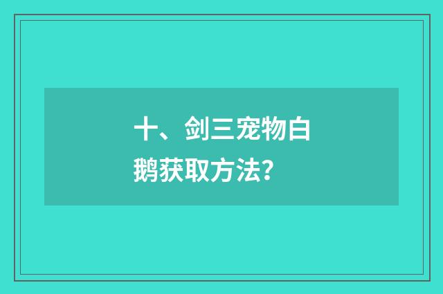十、剑三宠物白鹅获取方法?