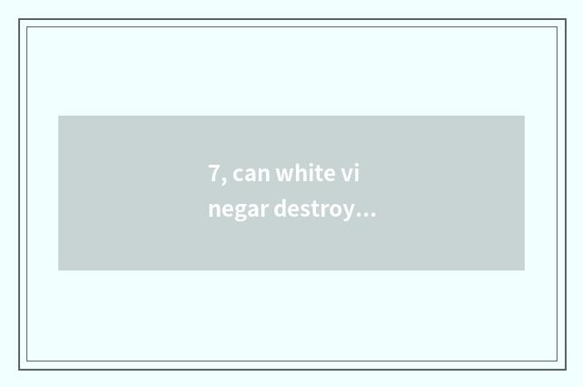 7, can white vinegar destroy flea?
