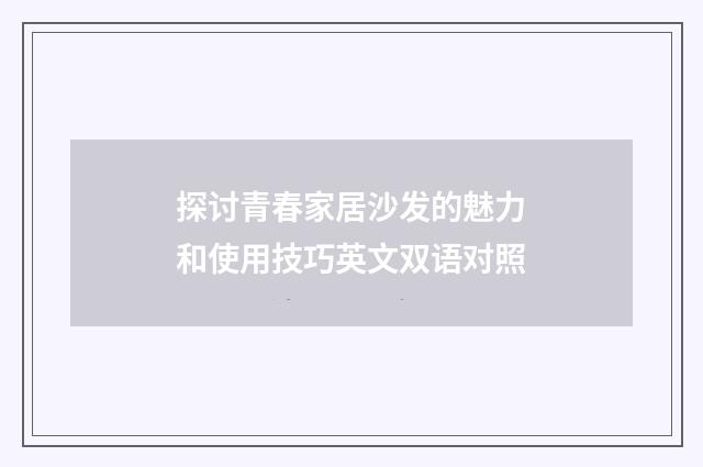 探讨青春家居沙发的魅力和使用技巧英文双语对照