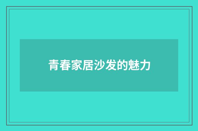 青春家居沙发的魅力