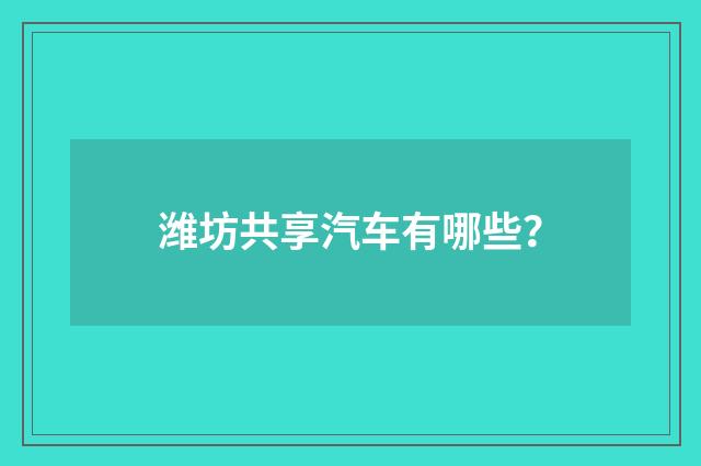 潍坊共享汽车有哪些？
