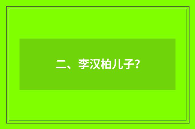 二、李汉柏儿子?